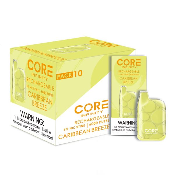 CORE INFINITY DISPOSABLES 5% 6000 PUFFS - Image 27